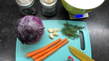 ferment image