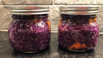 ferment image