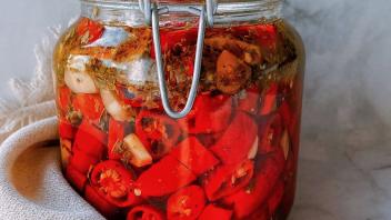 ferment image