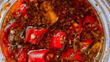 ferment image