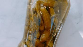 ferment image