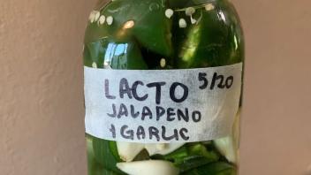 ferment image