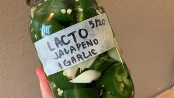 ferment image