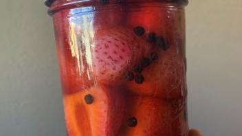 ferment image