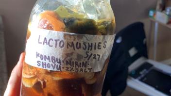 ferment image
