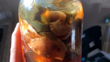 ferment image