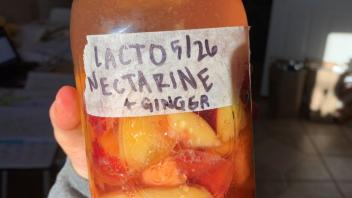 ferment image