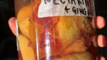 ferment image