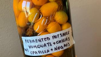 ferment image