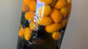 ferment image