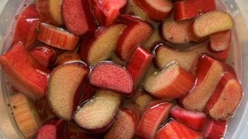 ferment image