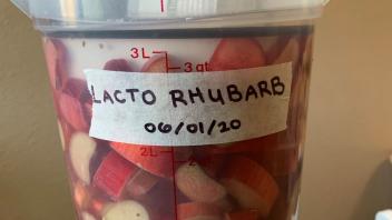 ferment image