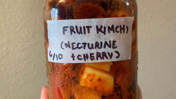 ferment image