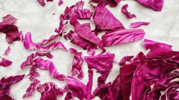 ferment image