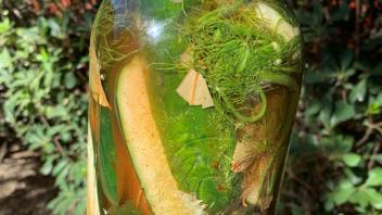 ferment image